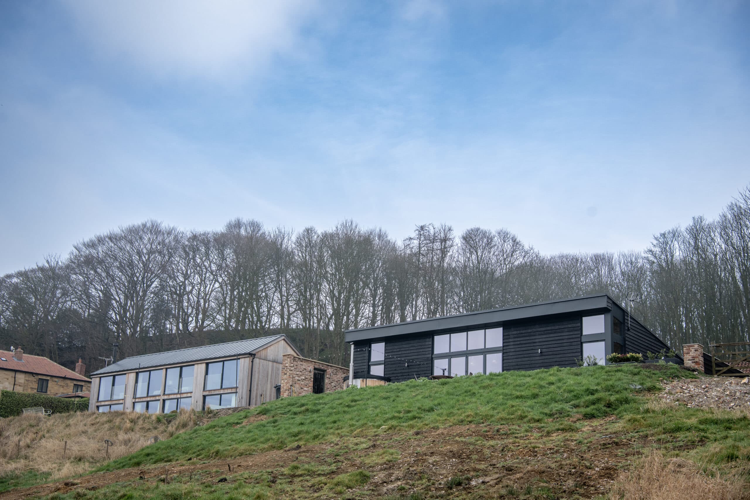 Two modern homes with large windows and sleek sliding doors sit on a grassy hillside in front of leafless trees under a blue sky. One house is black, while the other features a mix of wood and stone siding.